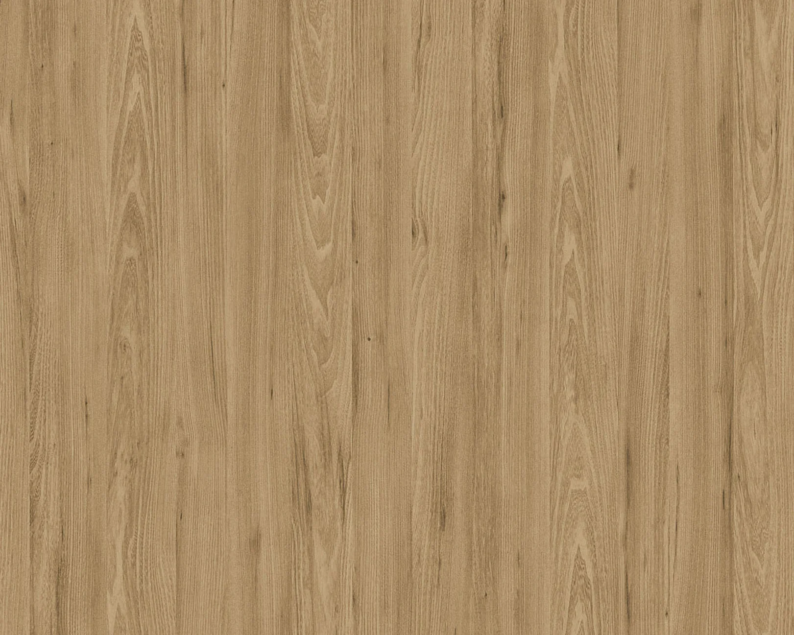 Karla Tivoli Elm