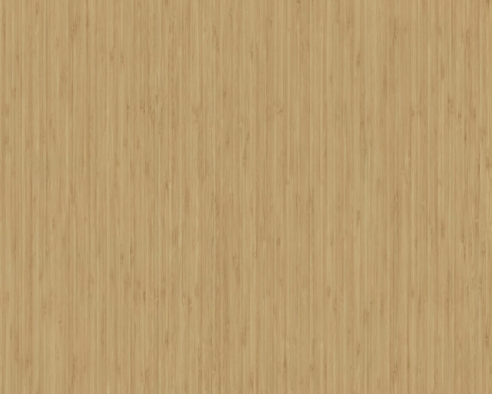 Kyo Sagano Bamboo