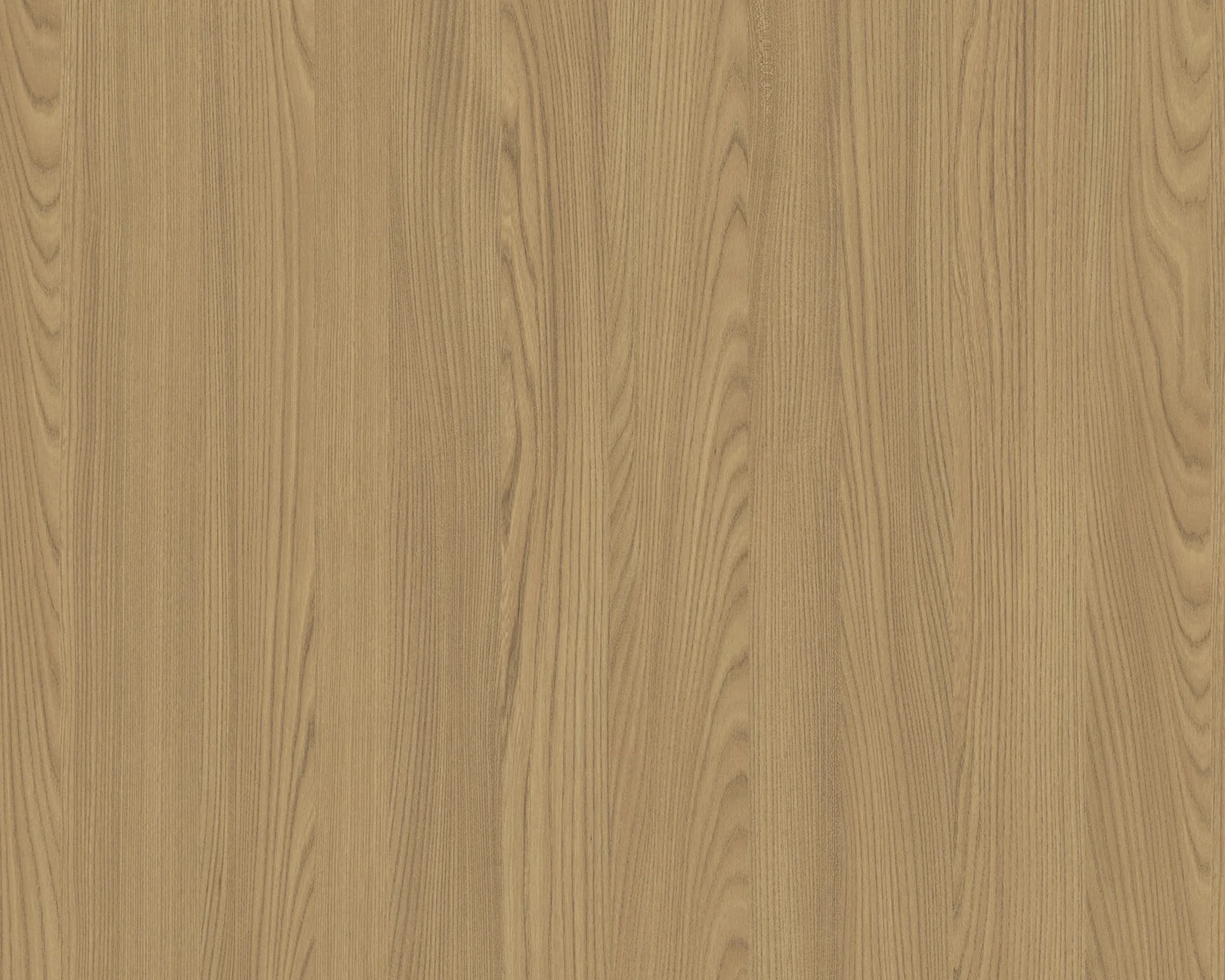 Matt Hoffmann Elm