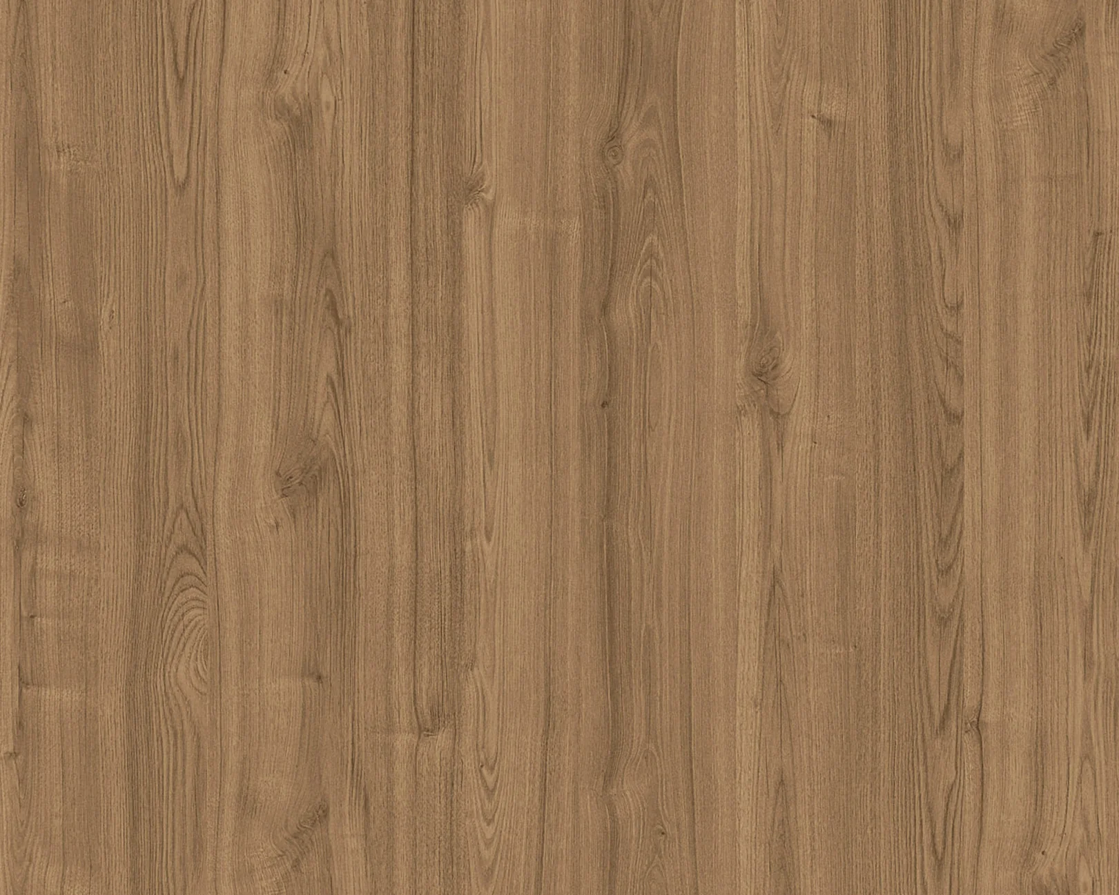 Mio Nevada Elm