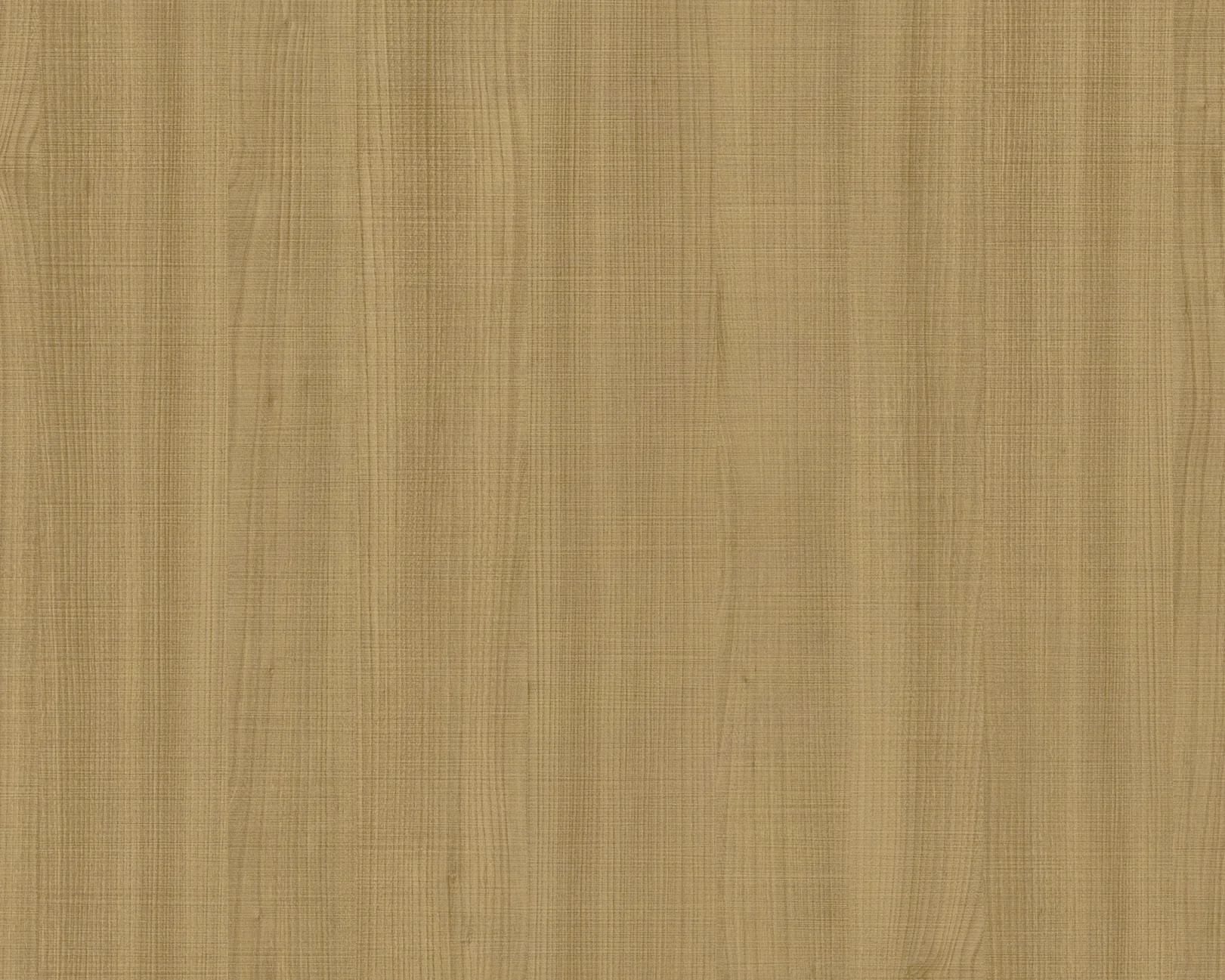 Nori Itadori Elm