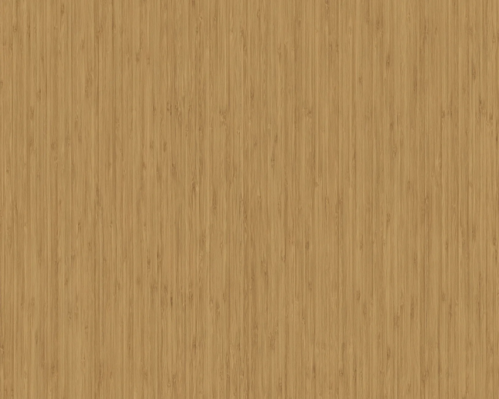 Rei Sagano Bamboo