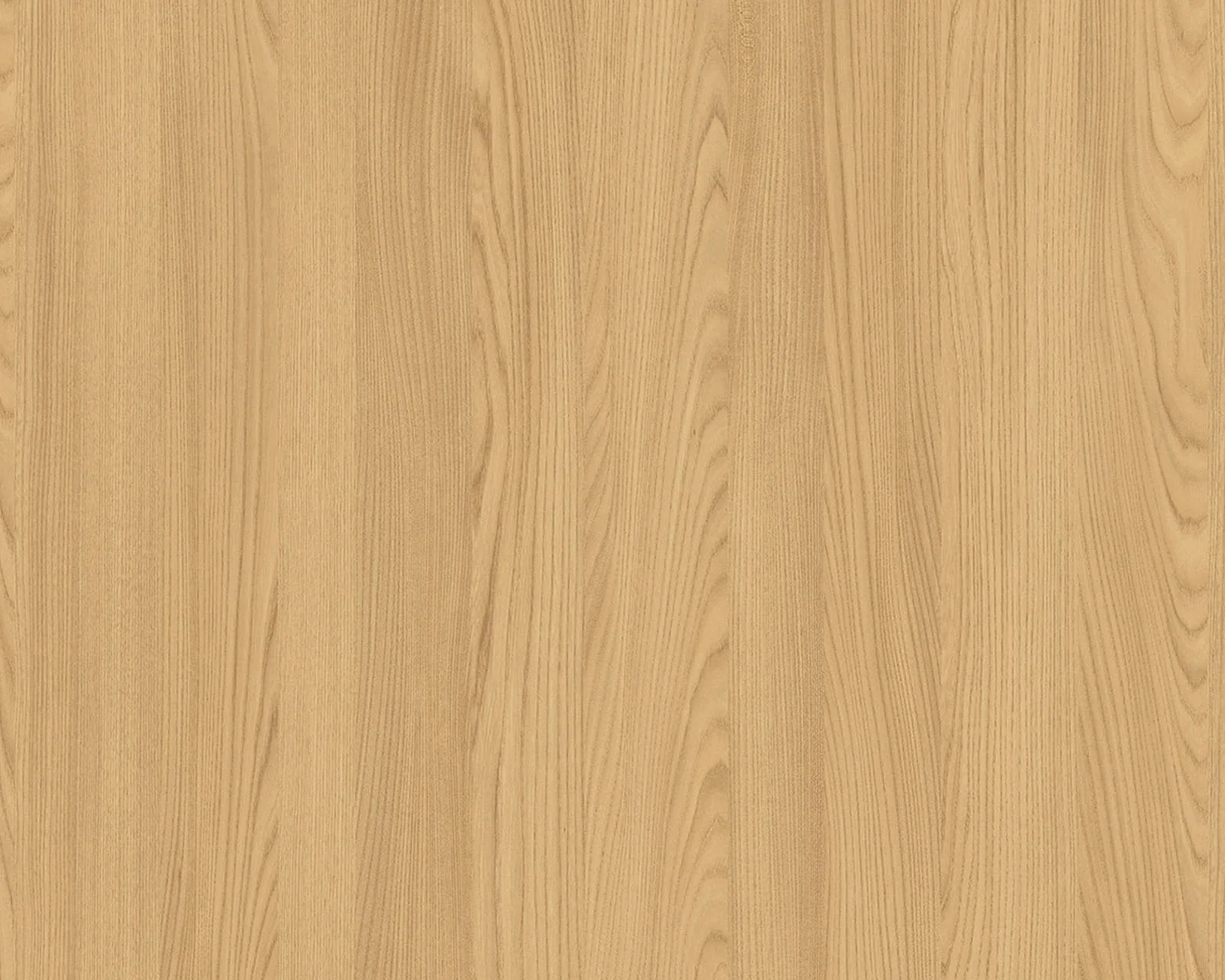 Reid Hoffmann Elm