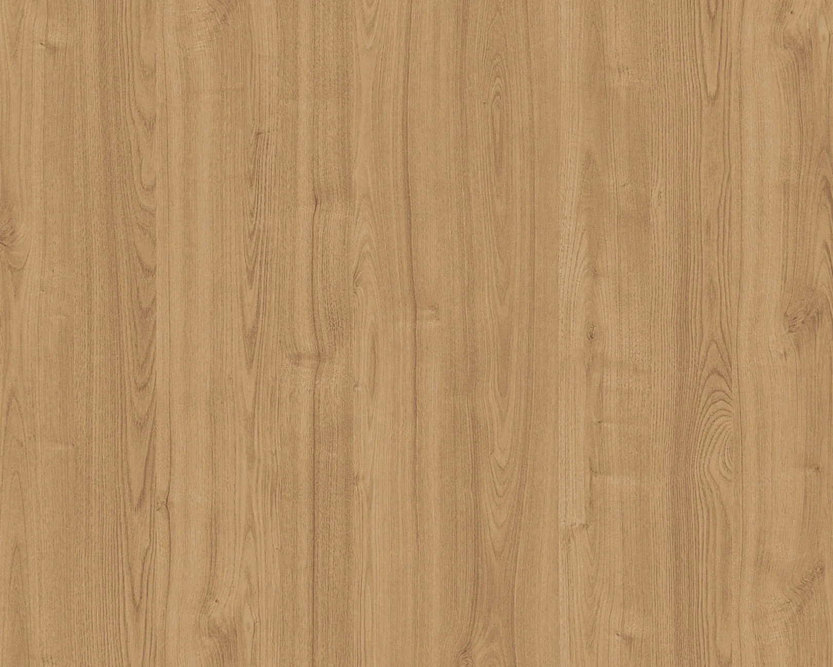 Runa Nevada Elm