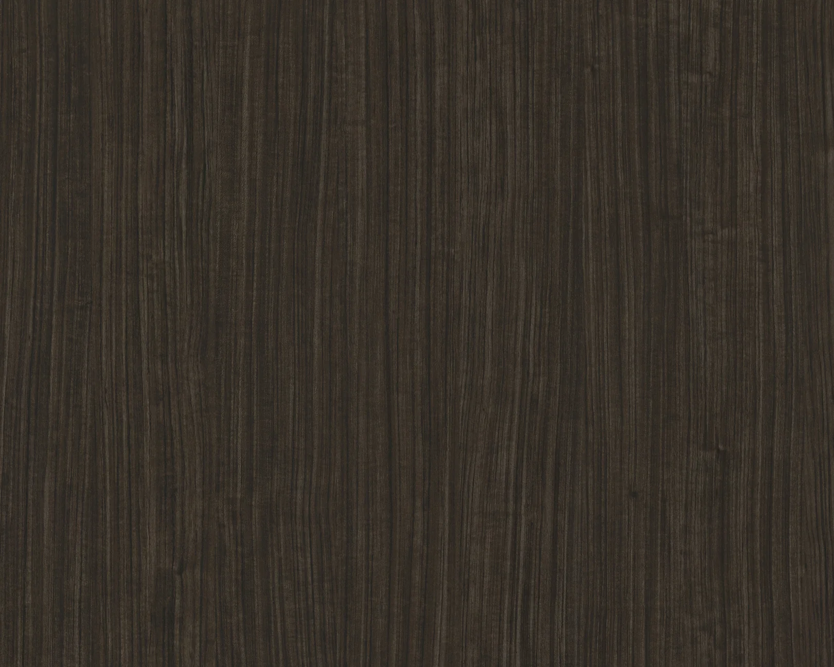 Salvador Ramos Teak