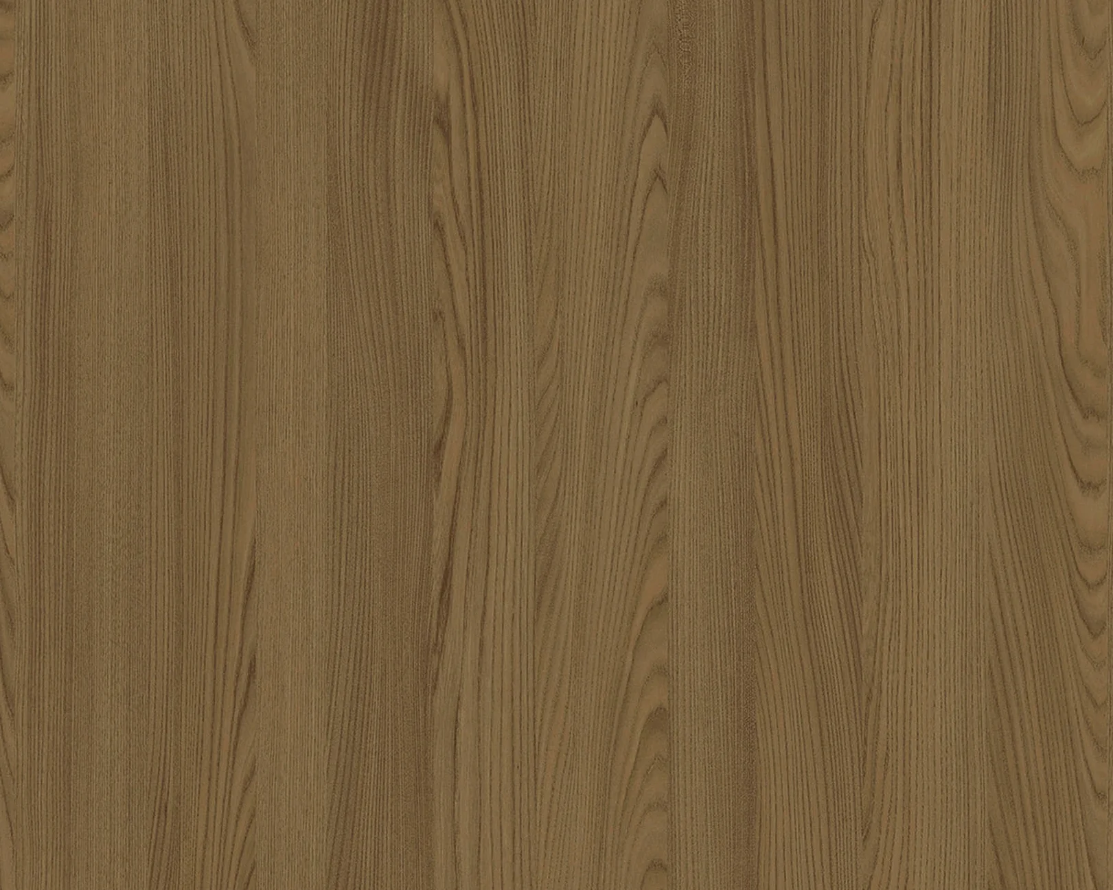 Silas Hoffmann Elm