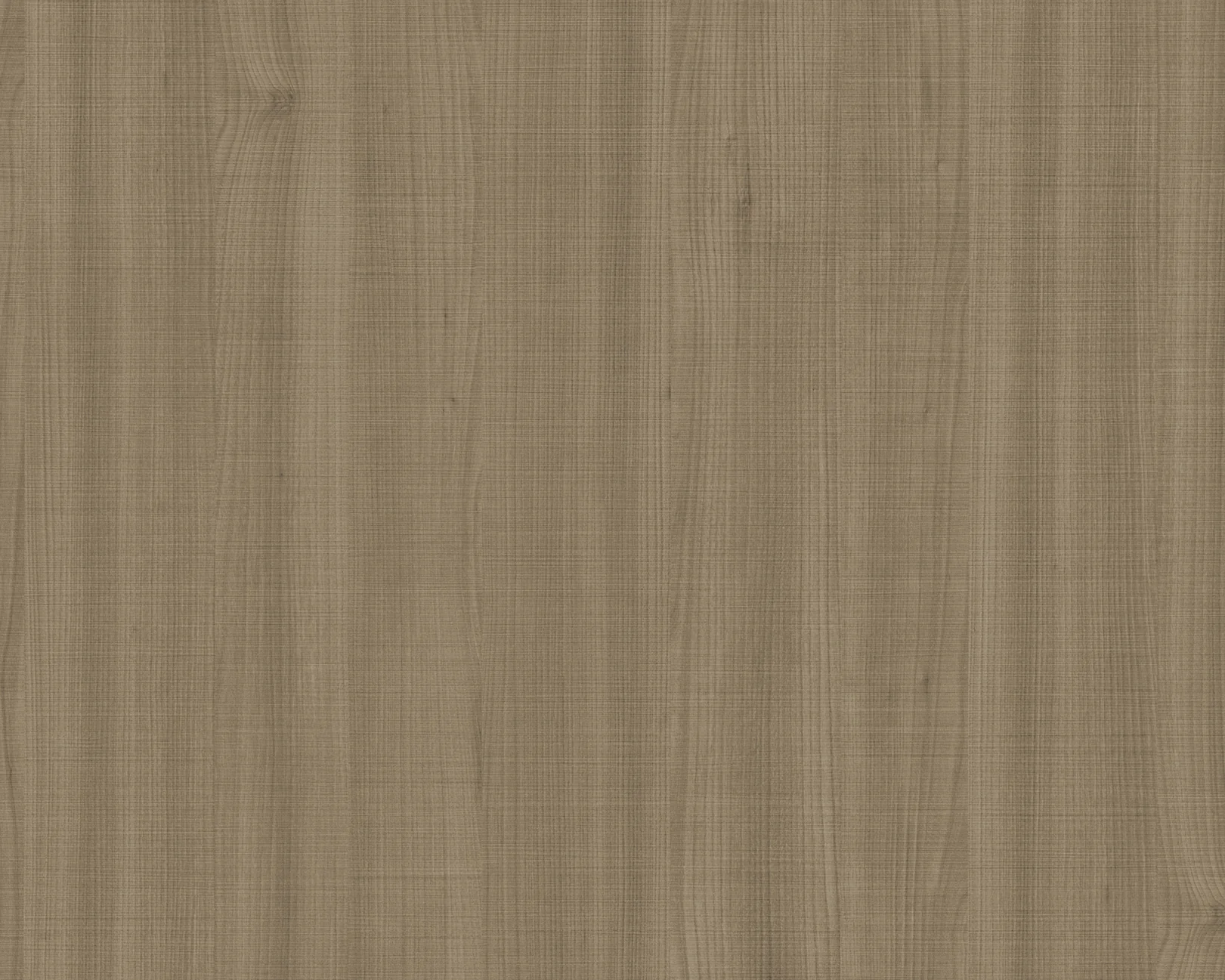 Taka Itadori Elm