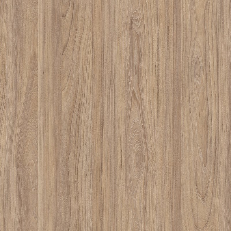 Swiss Elm Amber