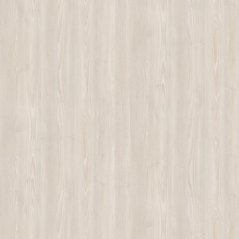 Whitewall Acacia