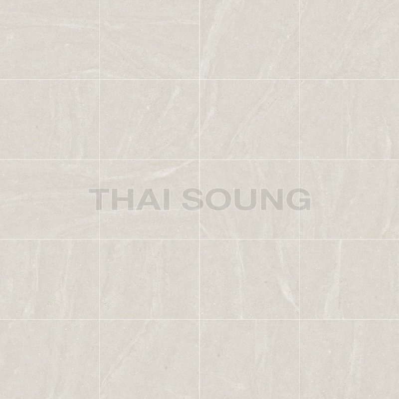 STONE BEIGE MATT RAN20 R10 60x60